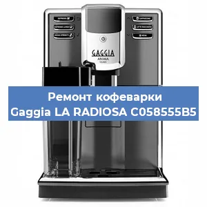 Замена прокладок на кофемашине Gaggia LA RADIOSA C058555B5 в Тюмени